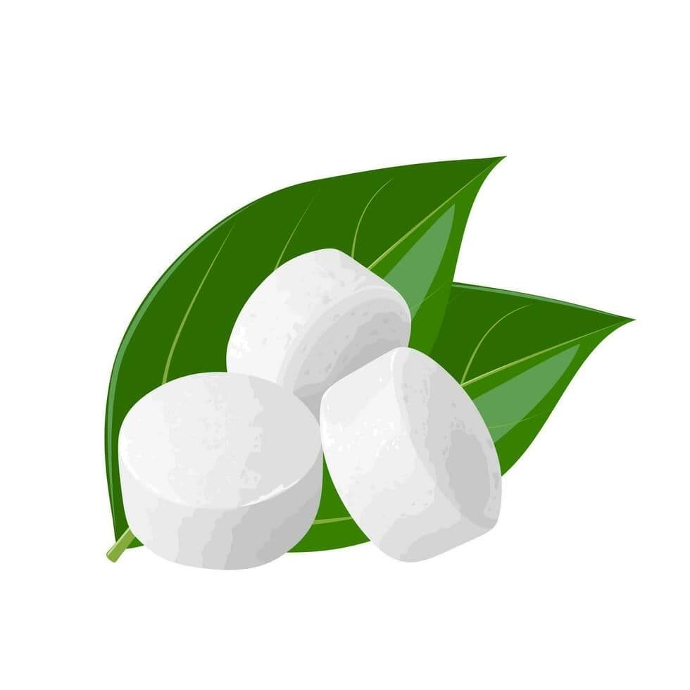Camphor